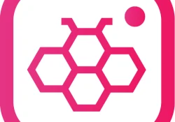 تنزيل هونستا لايت Honista Lite APK v5 (الموقع الرسمي) 2025